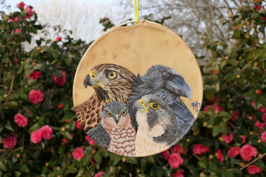 Shamanic Shield