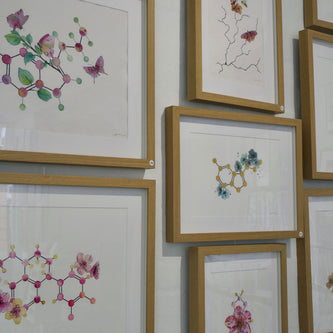 AM Science Art