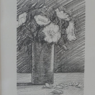 Drawings