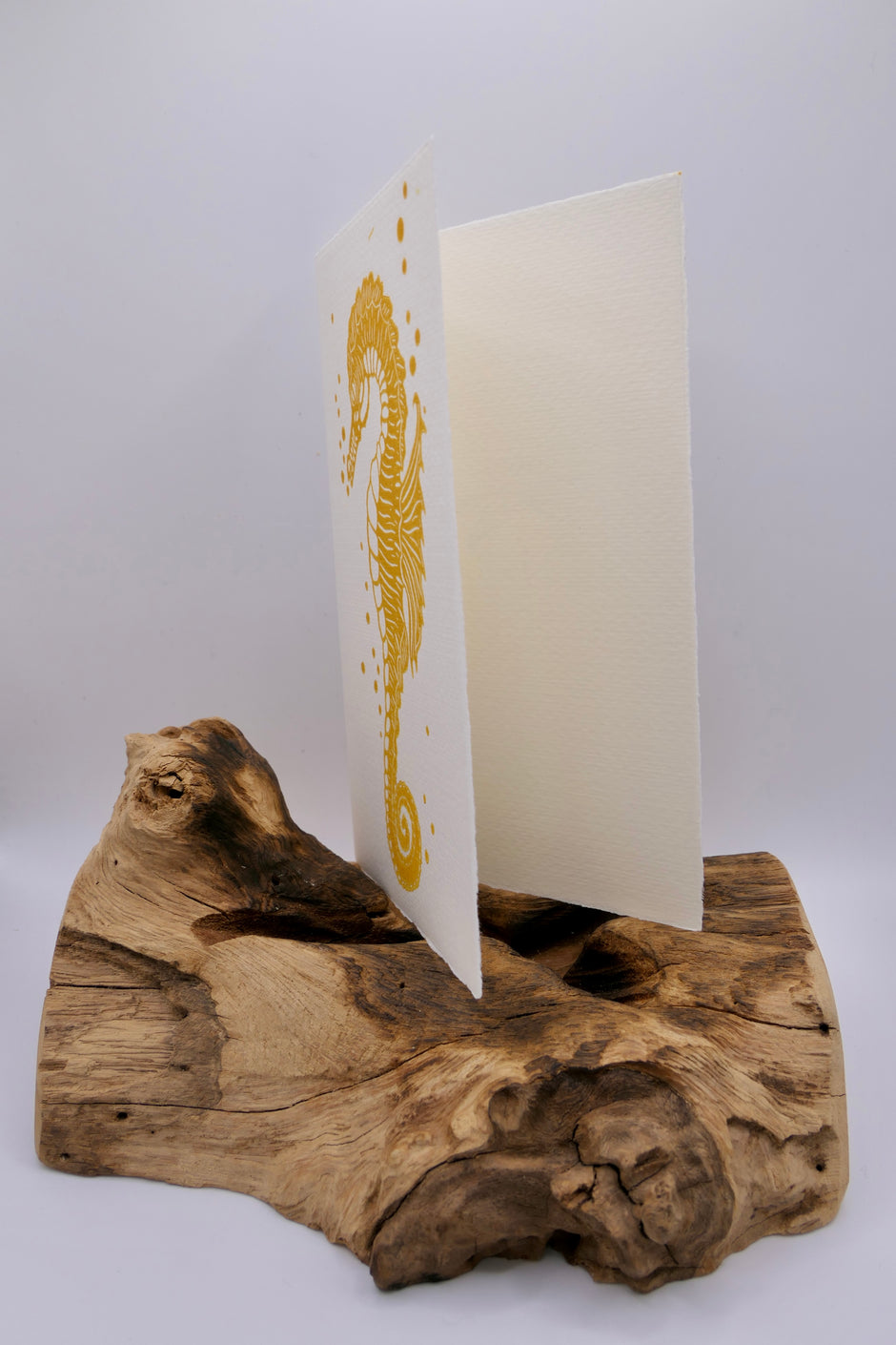 Seahorse | Greeting cards