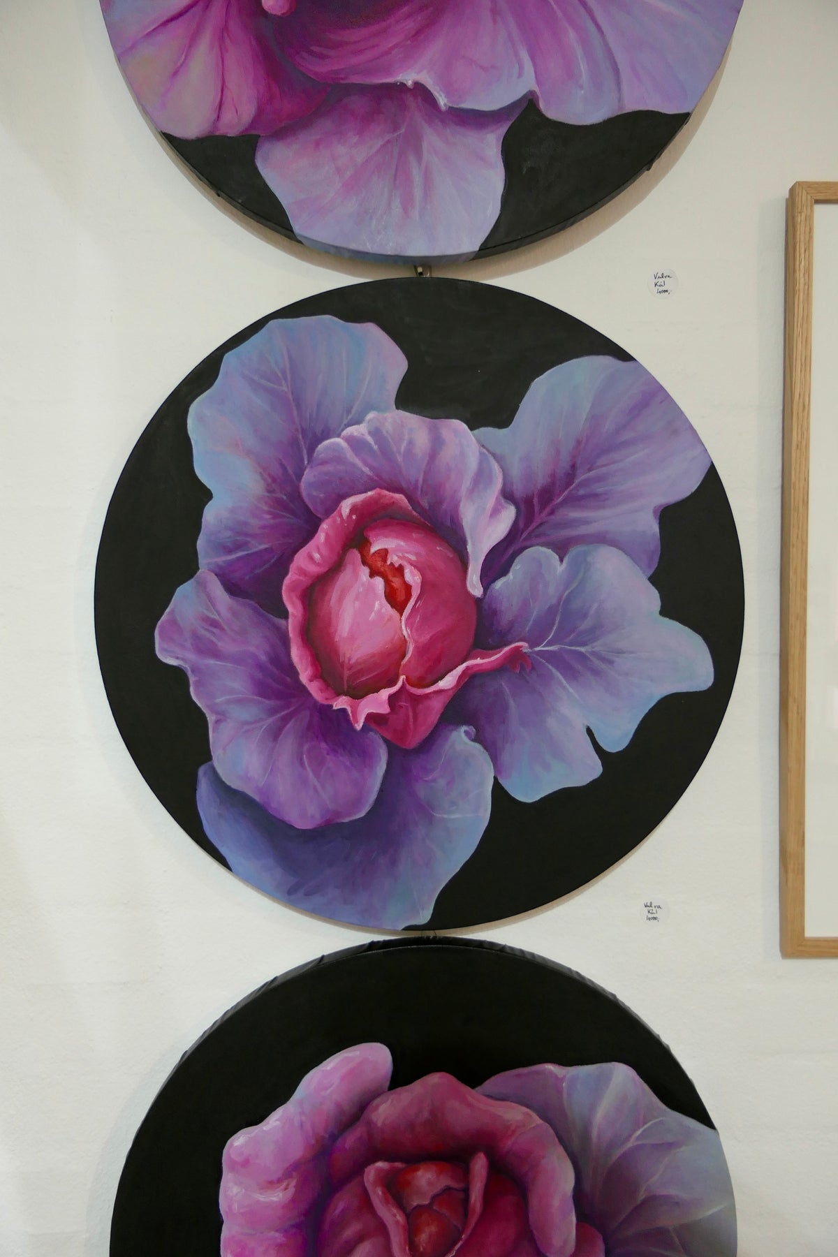 Vulva kål II