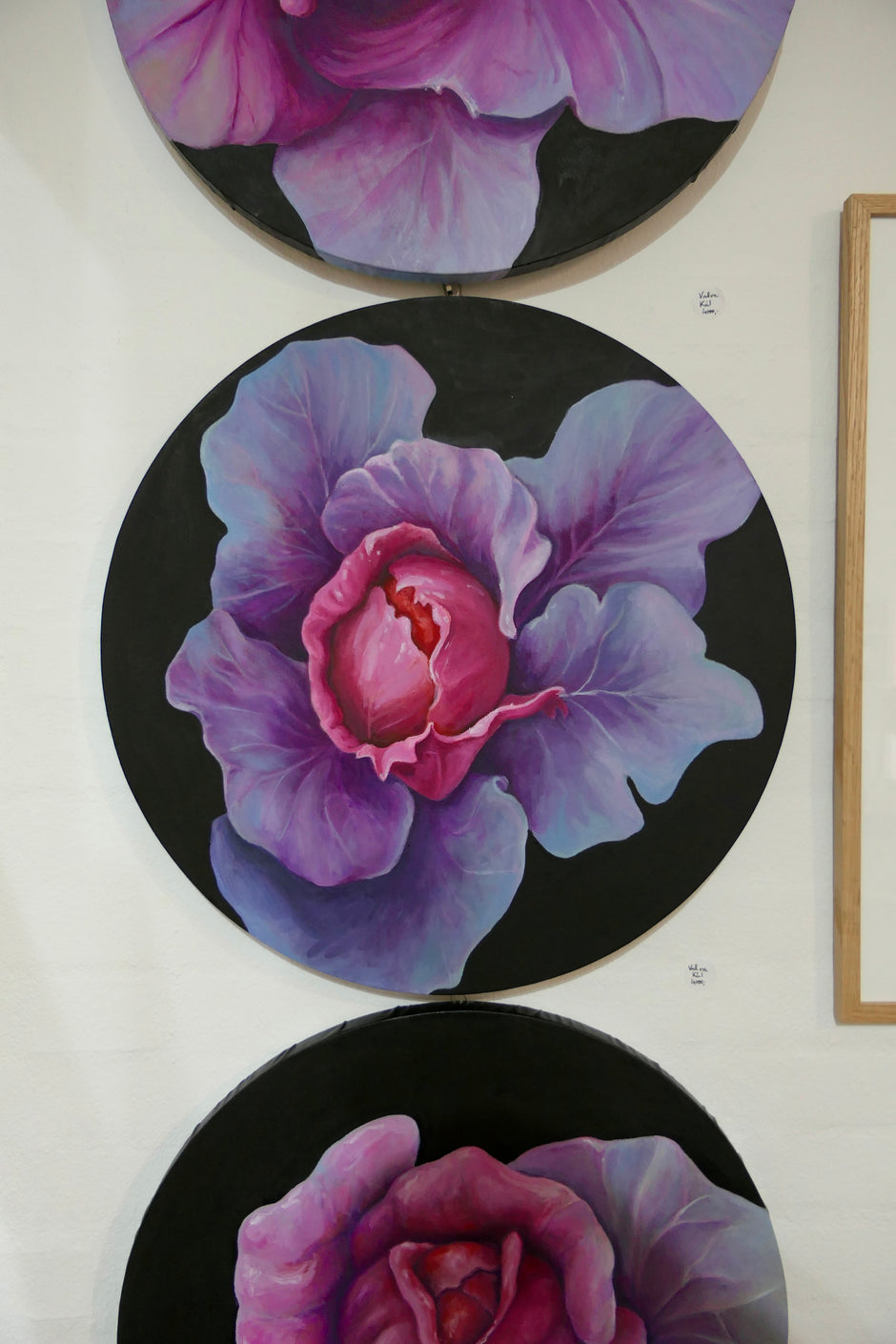 Vulva kål II