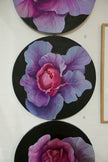 Vulva kål II