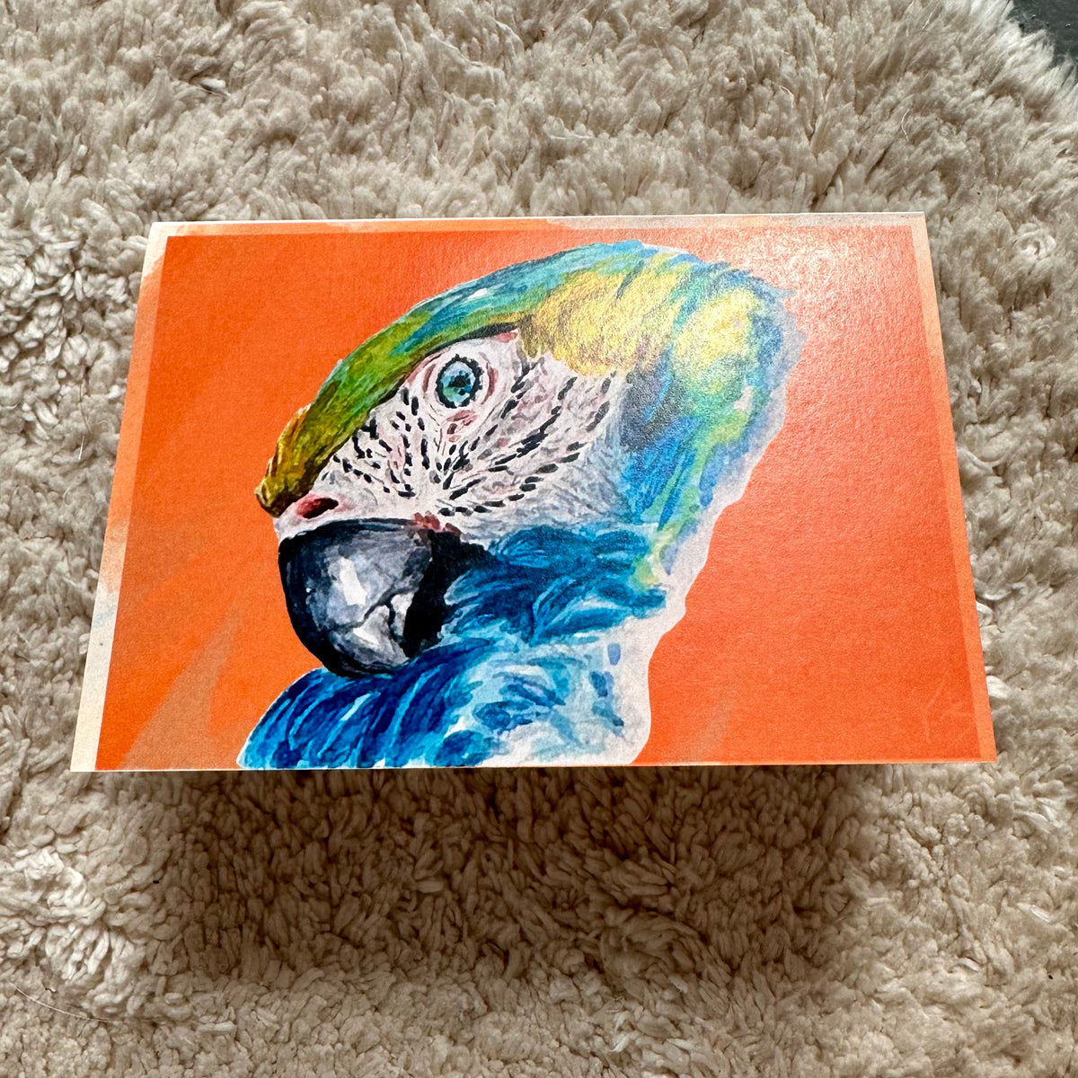 Parrot