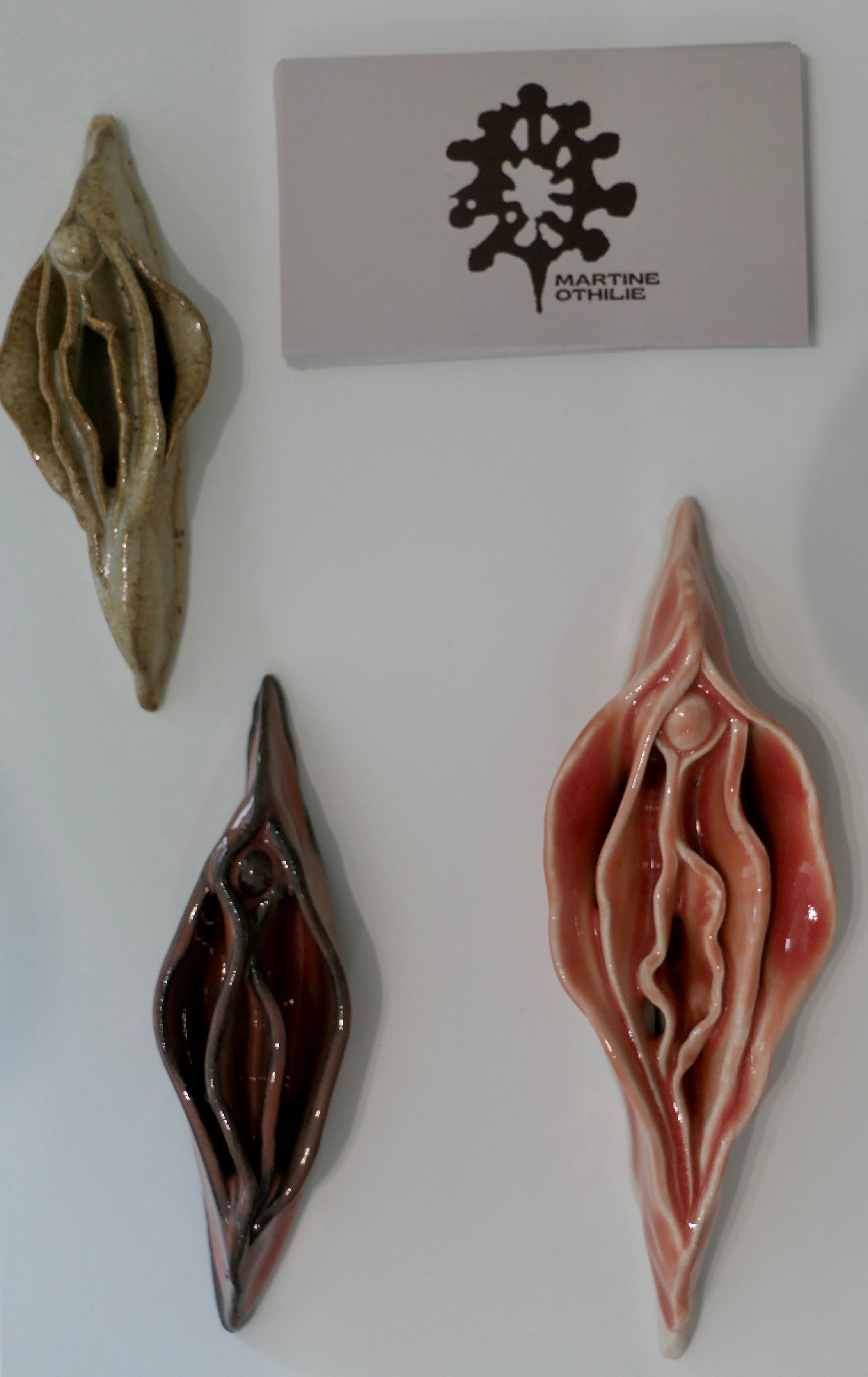 Sand-colored Vulva