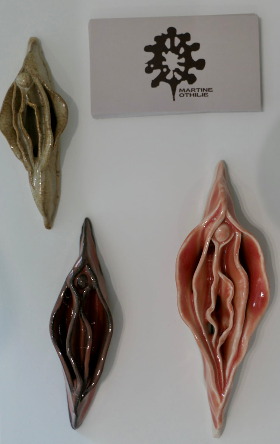 Sand-colored Vulva
