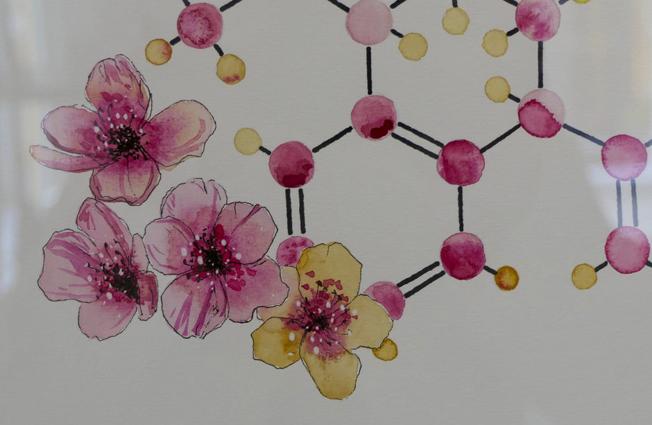 Sertraline