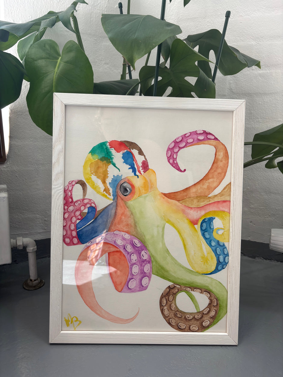 Octopus