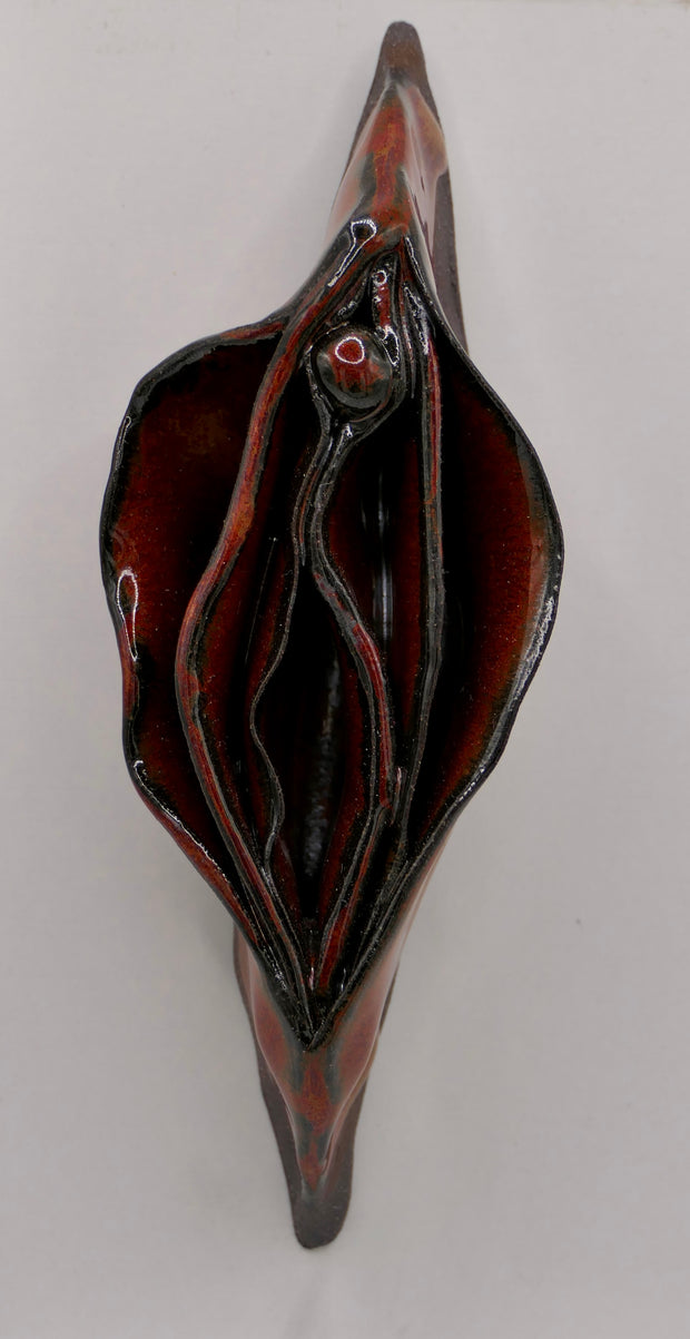Dark vulva