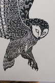 Owl | Linocut print