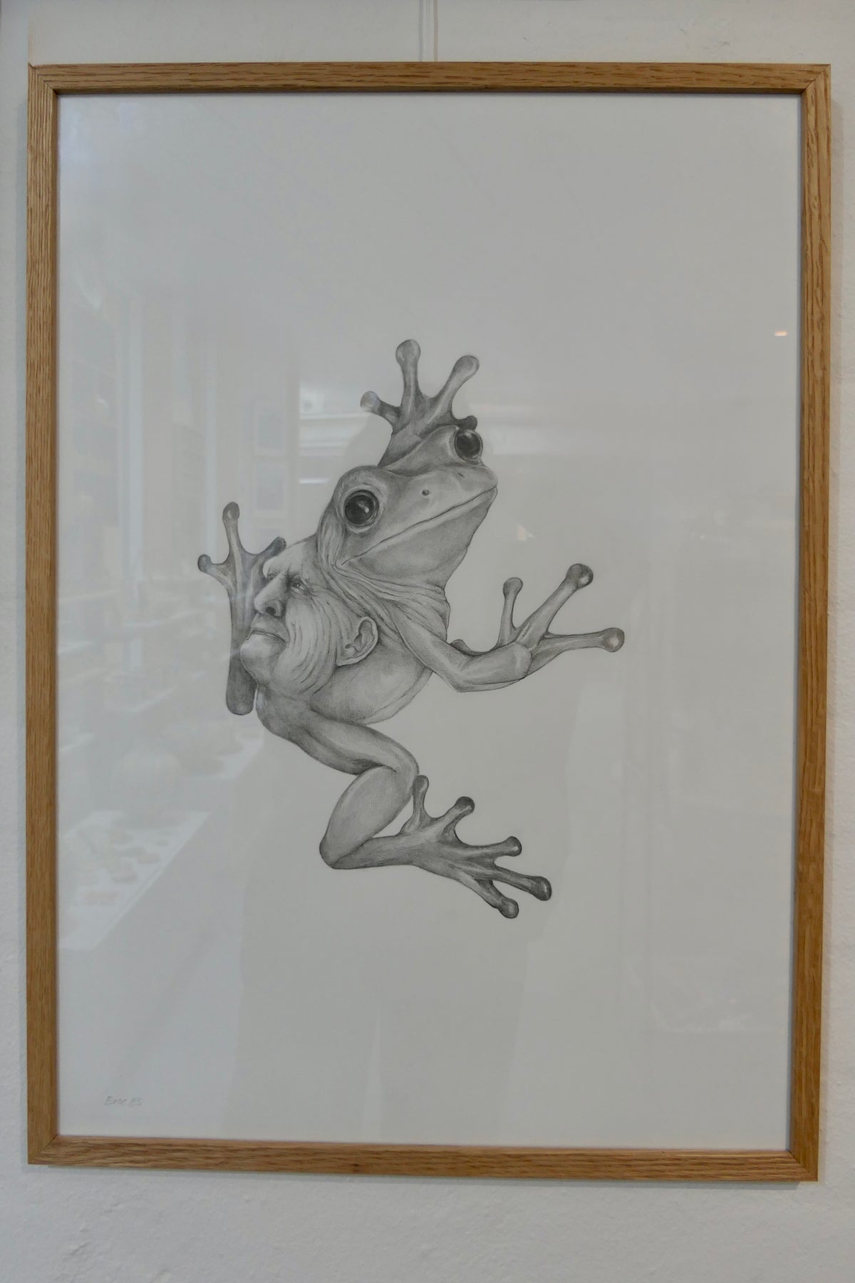 Janus frøer II