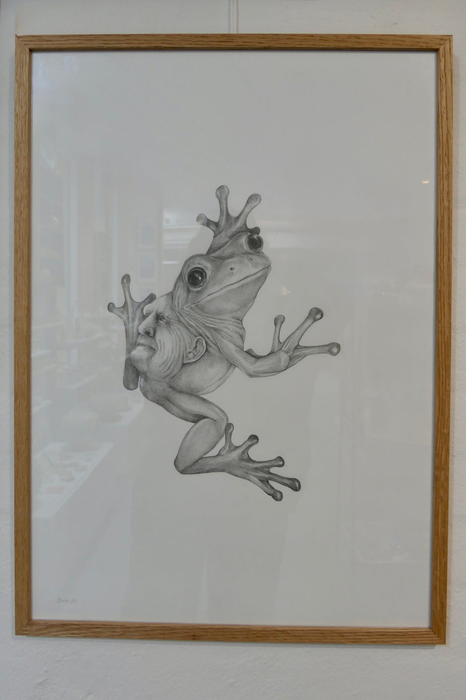 Janus frøer II