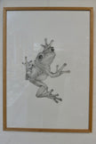 Janus frøer II