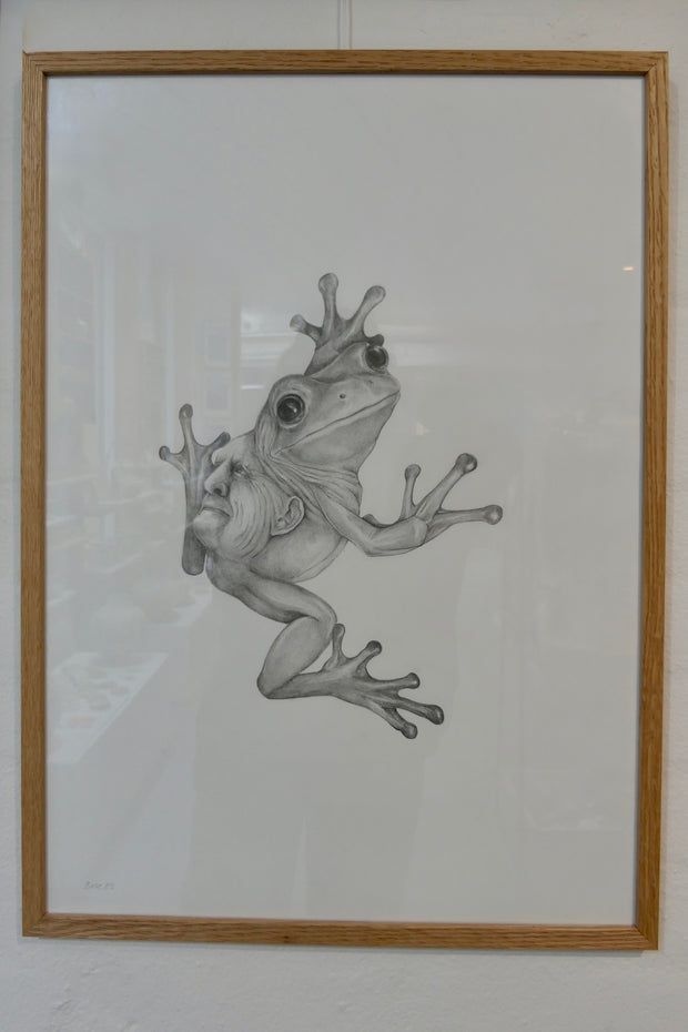 Janus frøer II