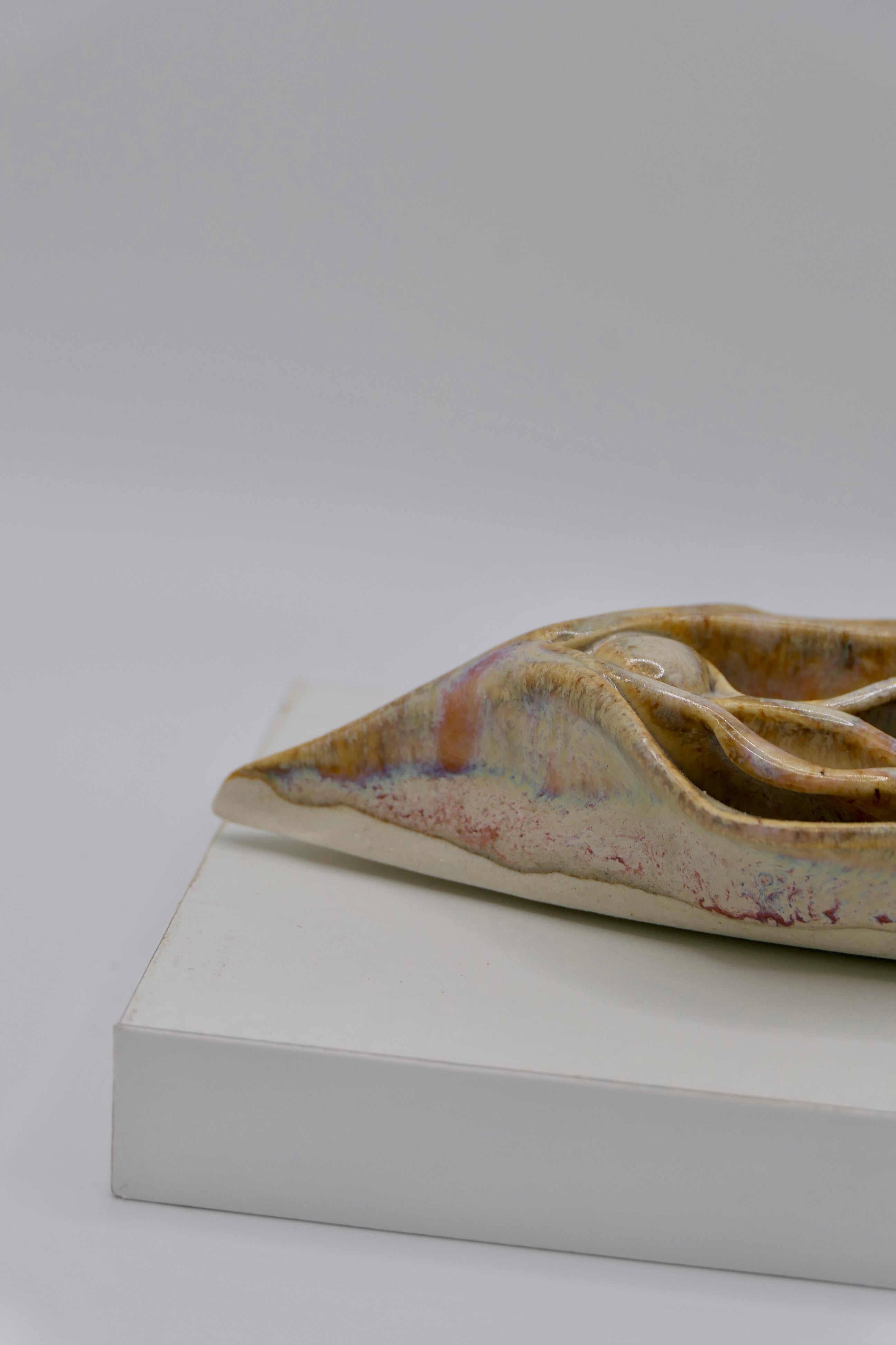 Light Vulva