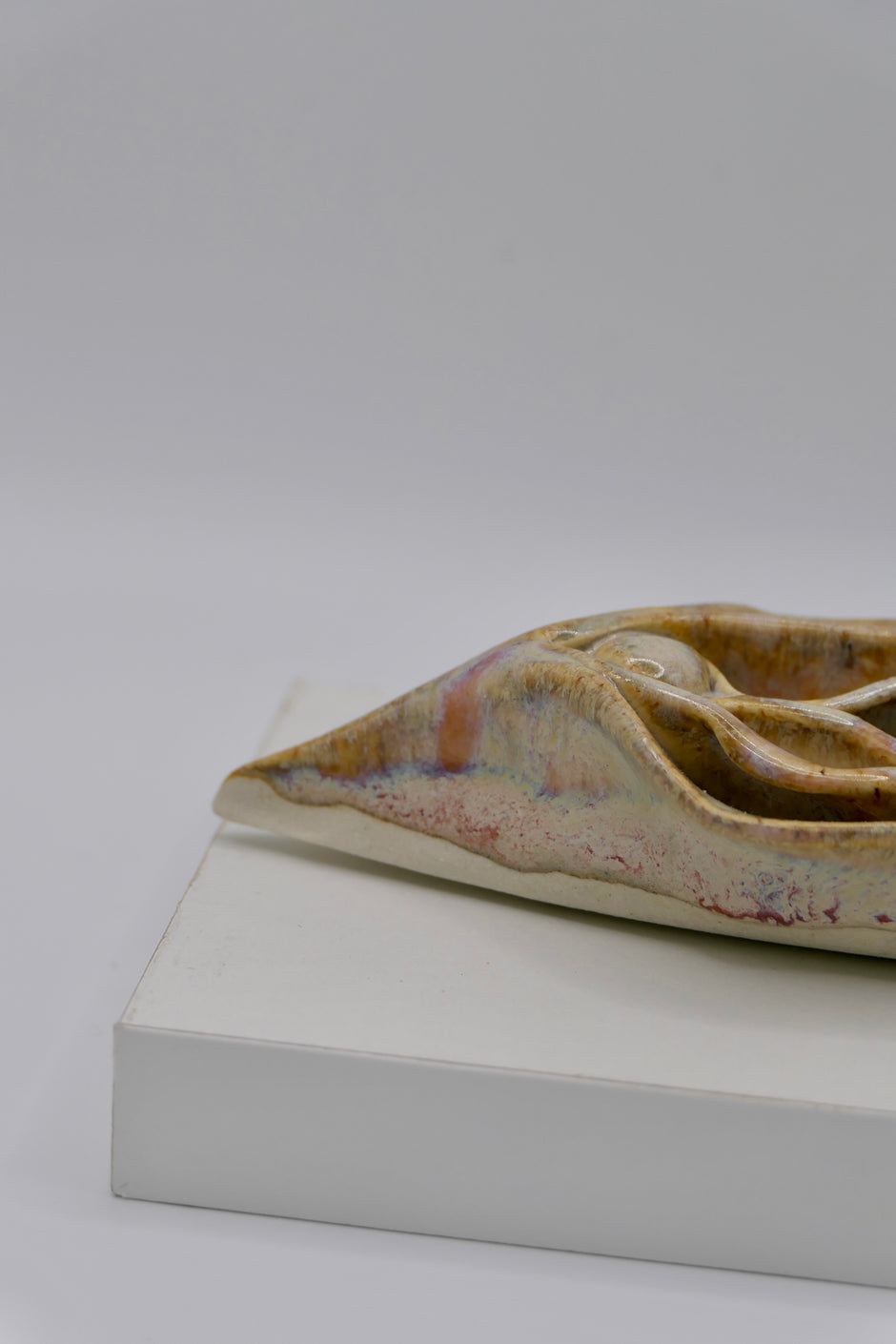 Light Vulva