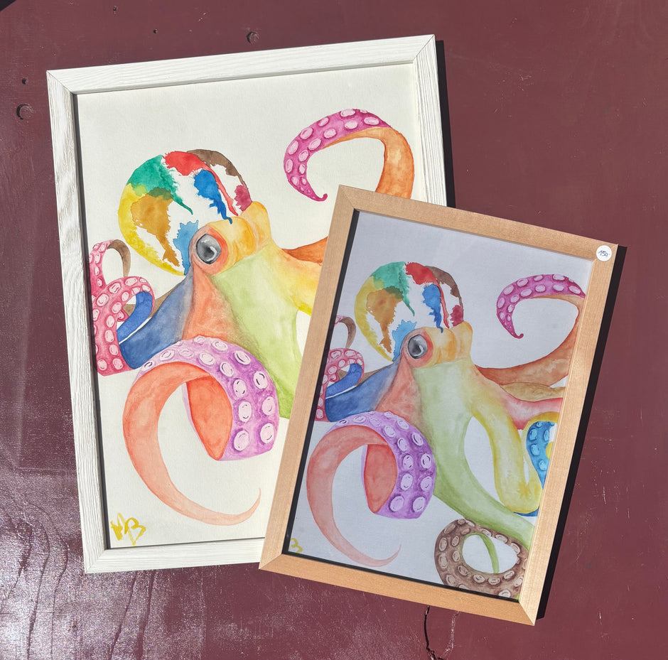 Octopus
