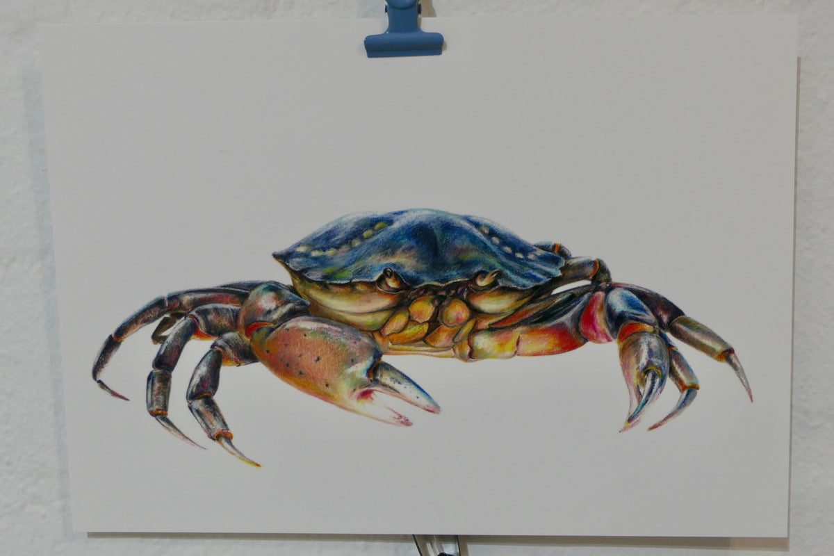 Crab