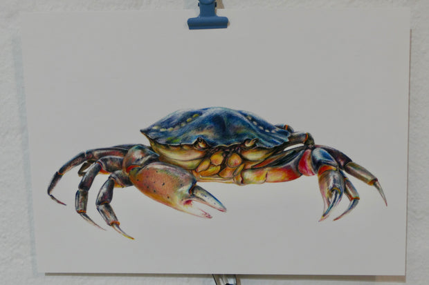 Crab