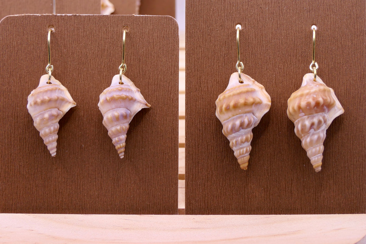 Pelican’s Foot Gold | Earrings