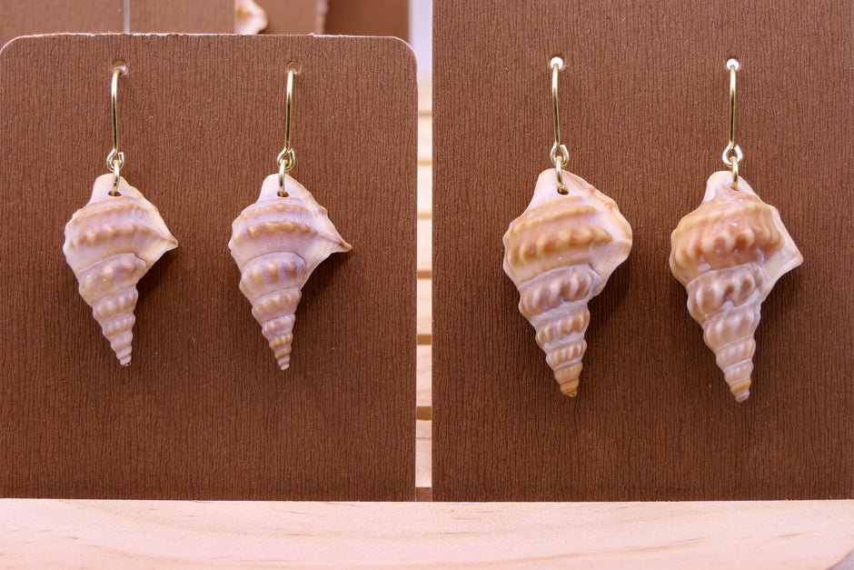 Pelican’s Foot Gold | Earrings