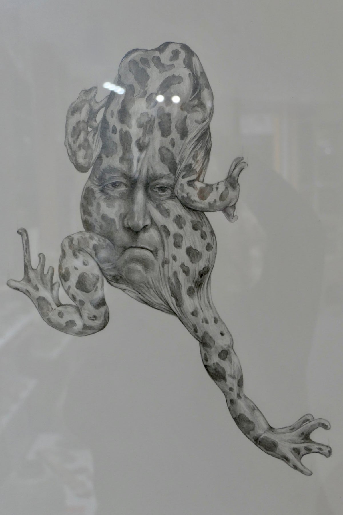 Janus frøer III