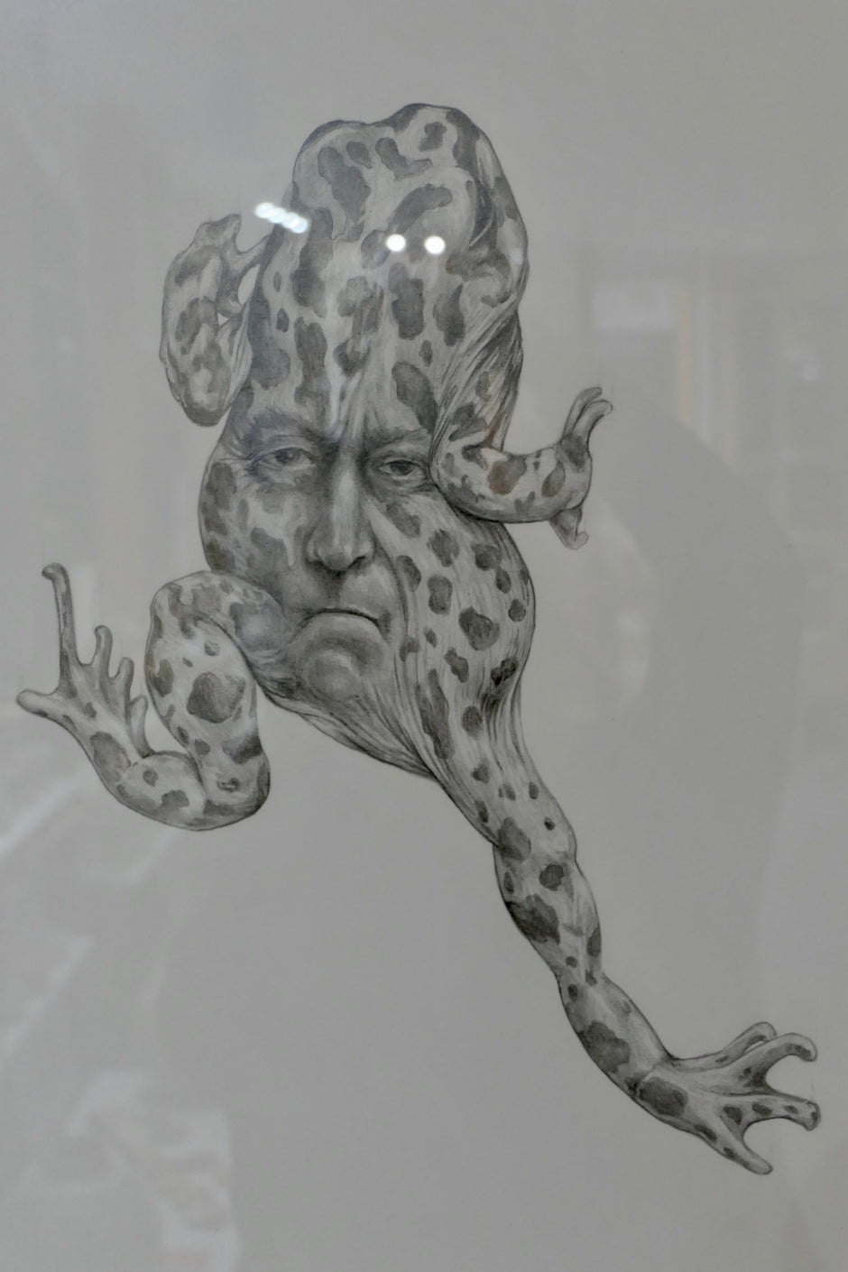 Janus frøer III