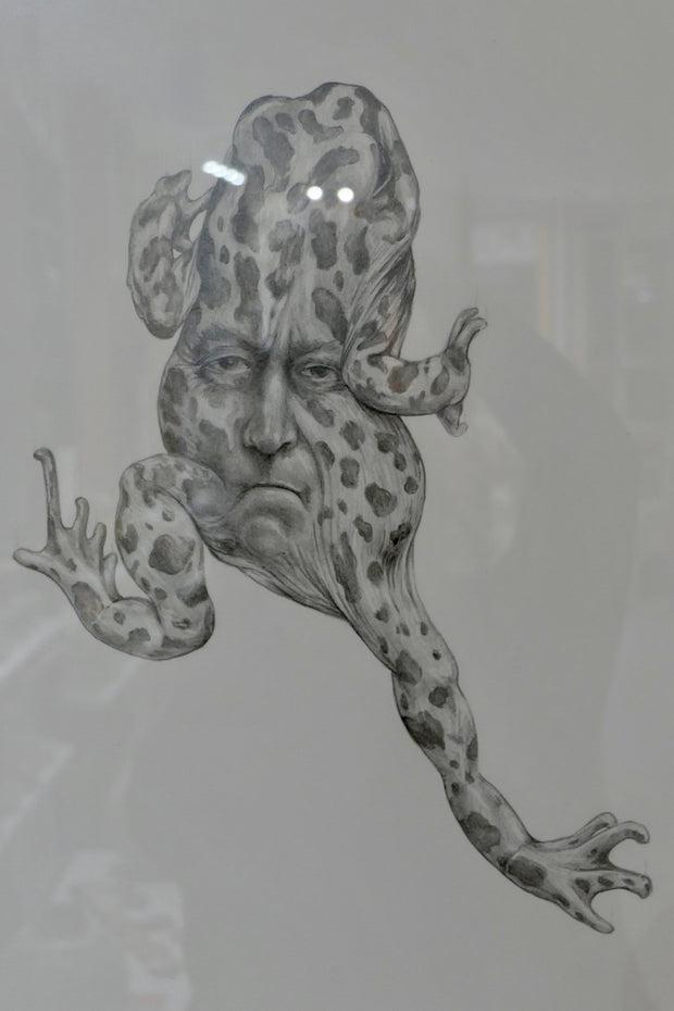 Janus frøer III