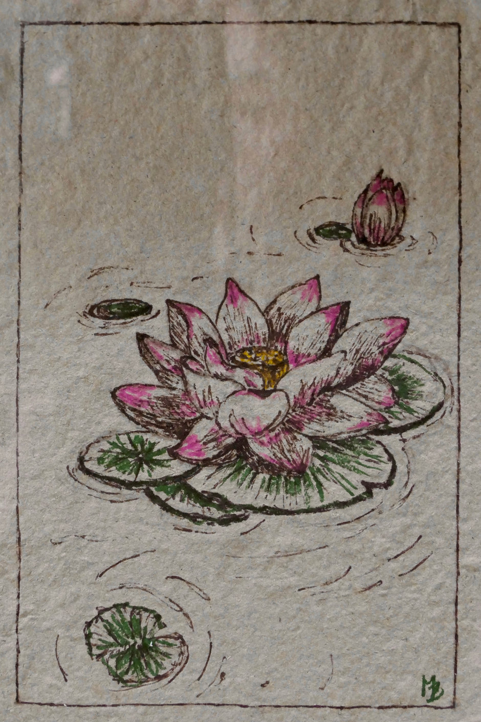 Le lotus
