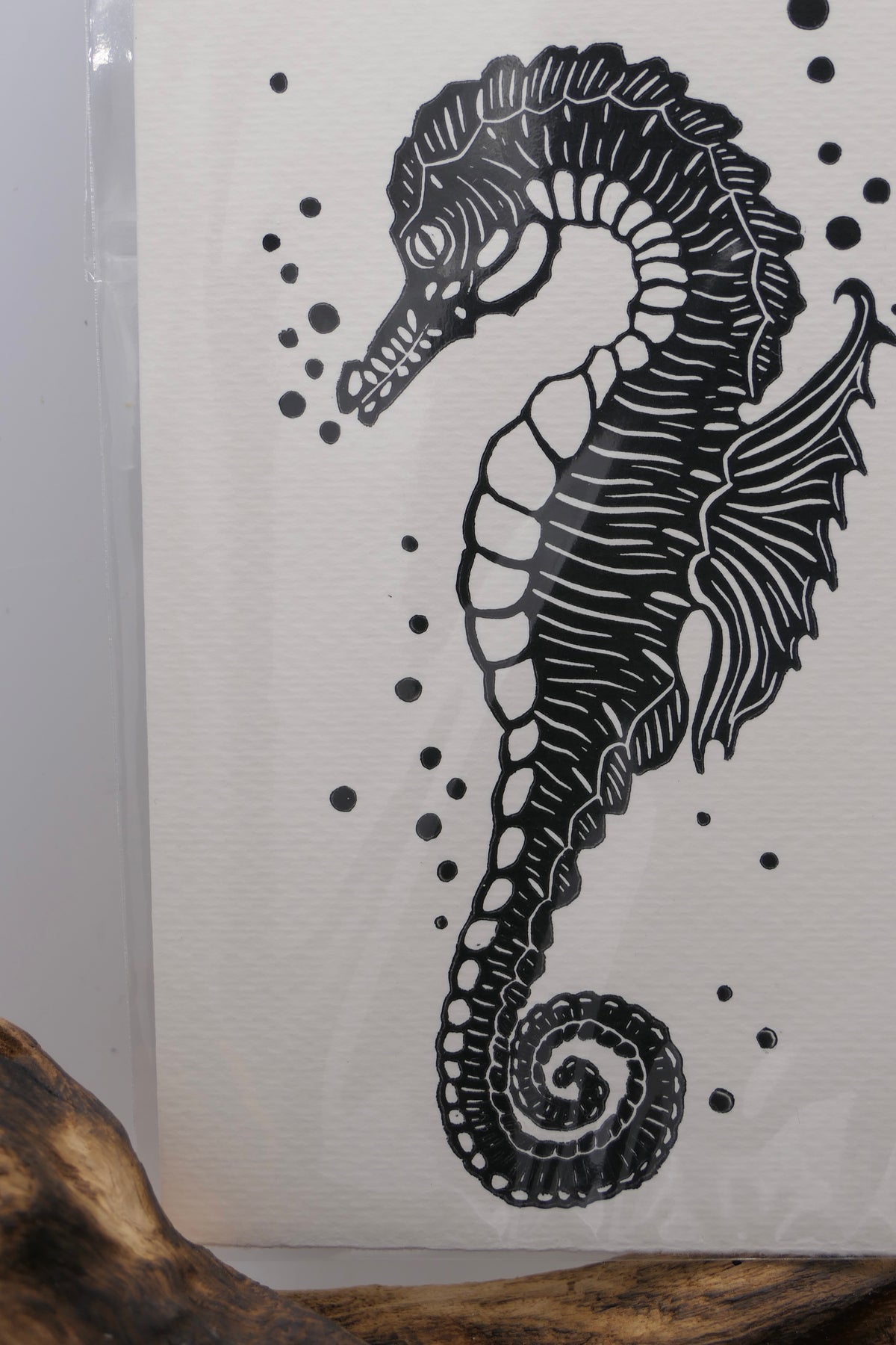 Seahorse | Greeting cards