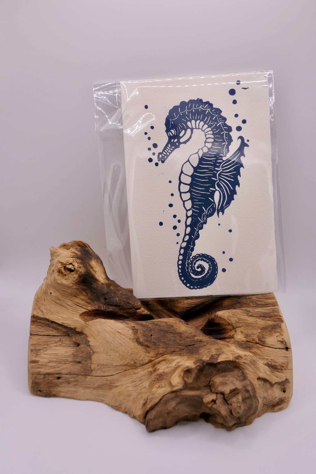 Seahorse | Greeting cards