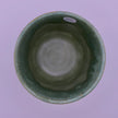 Green cups