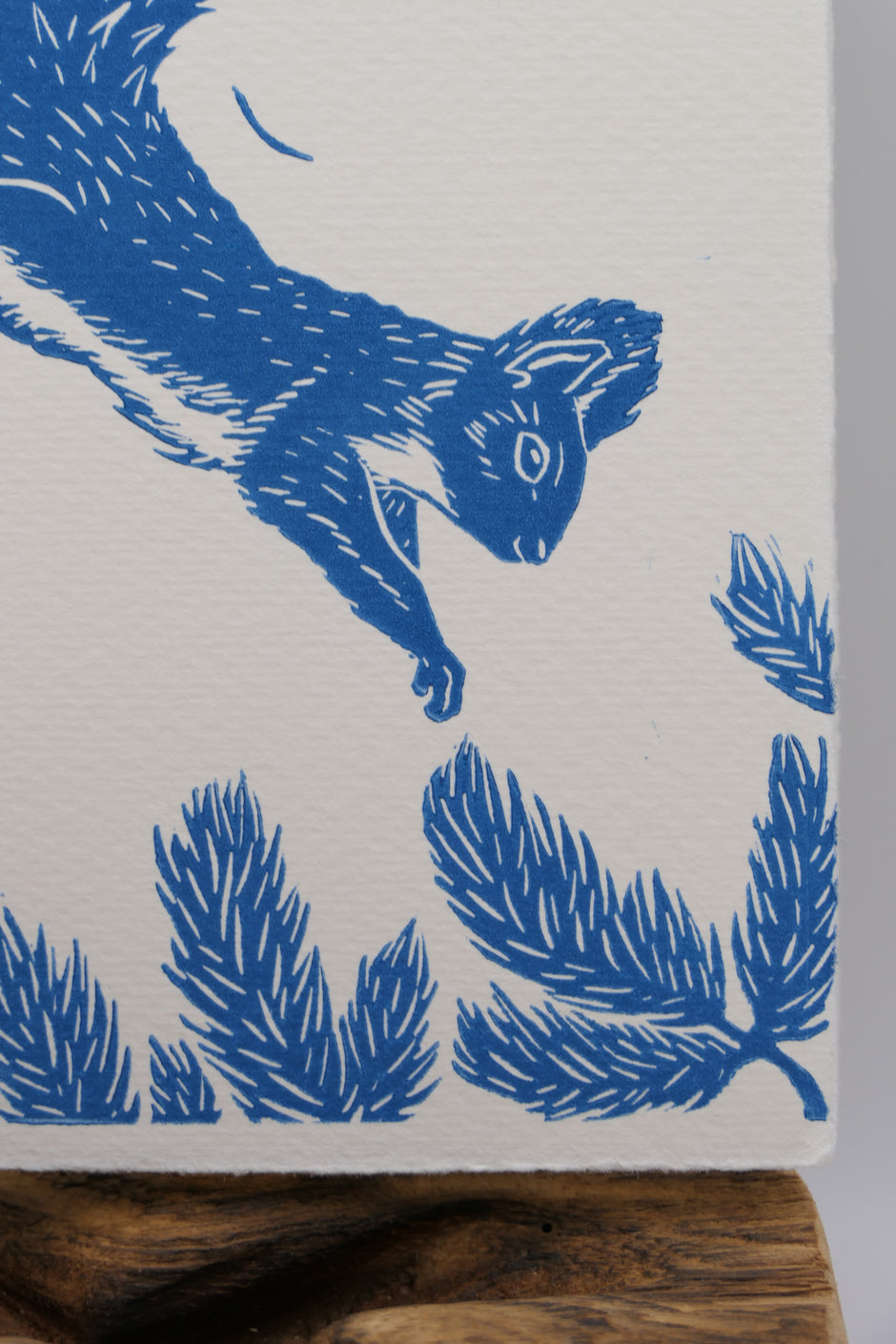 Squirrel | Greeting cards