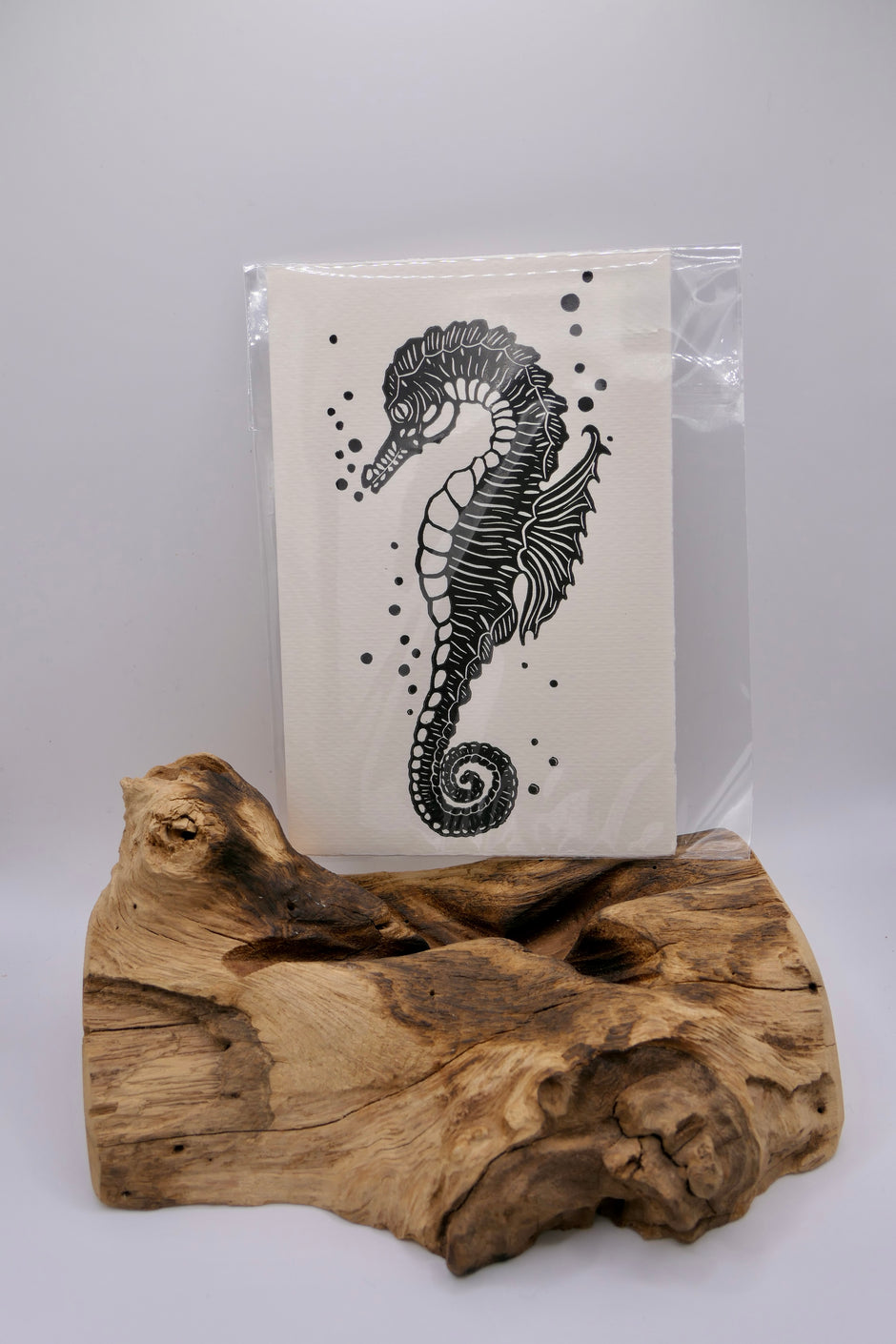 Seahorse | Greeting cards