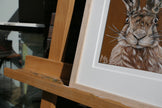 Hare