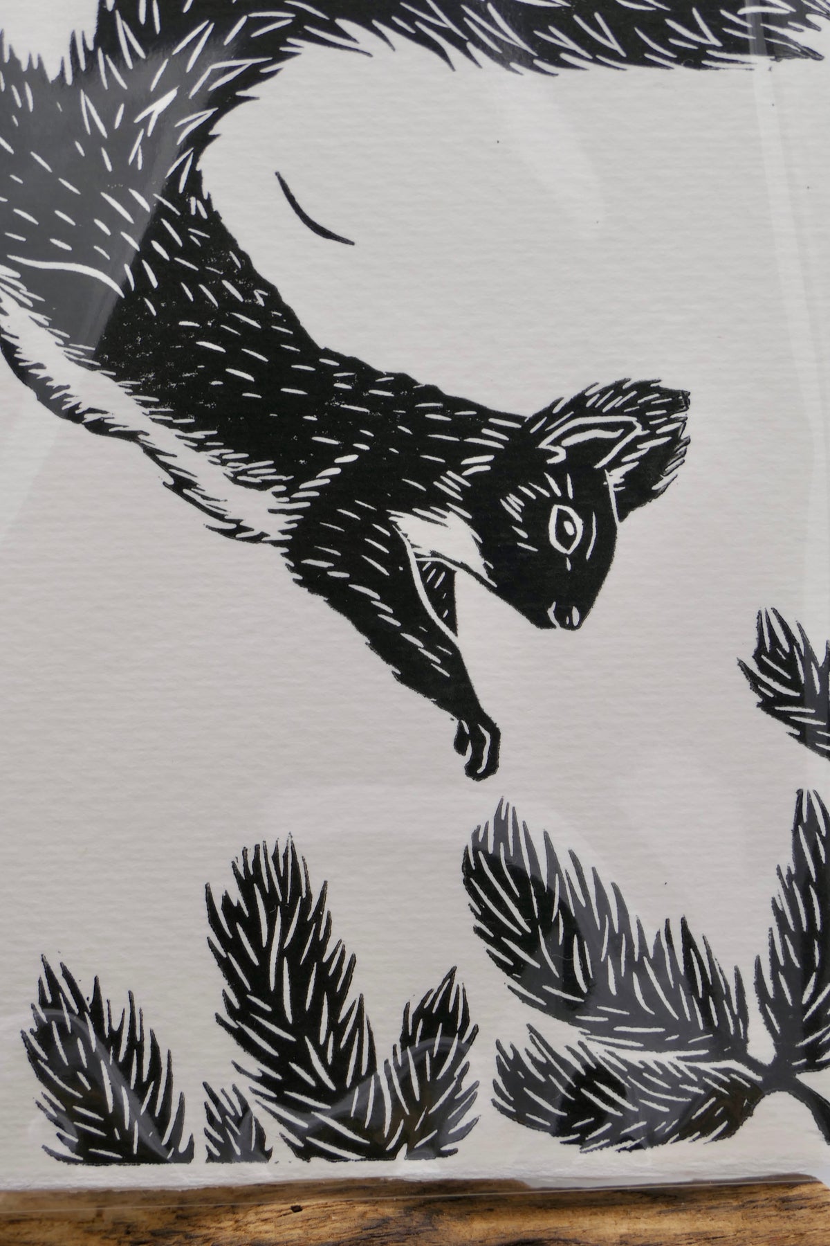 Squirrel | Greeting cards