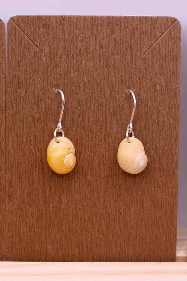 Yellow Beach snails | Earrings