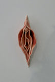 Peachy Vulva