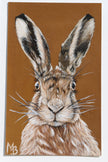 Hare