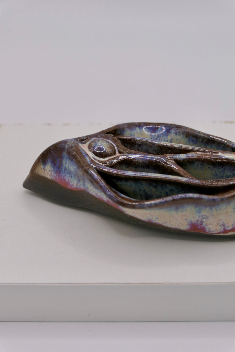 Vulva dark clay