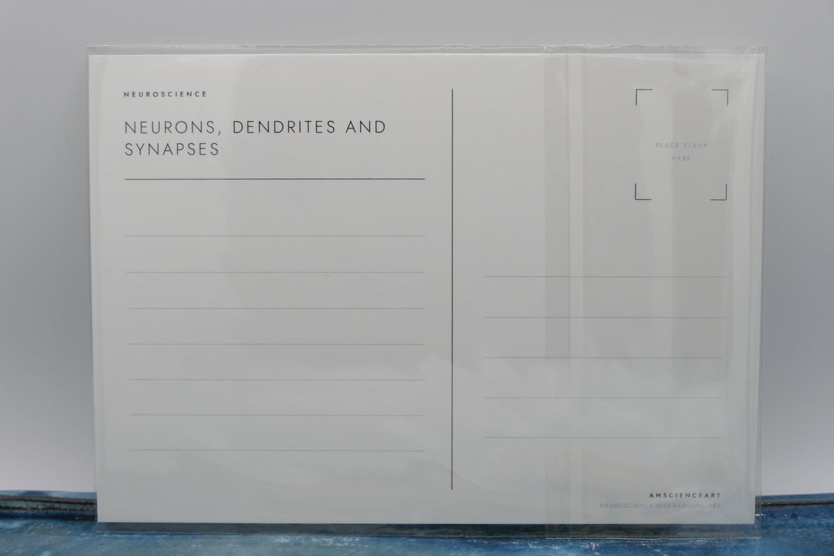 Butterflies | Neuronal dendrites and synapses