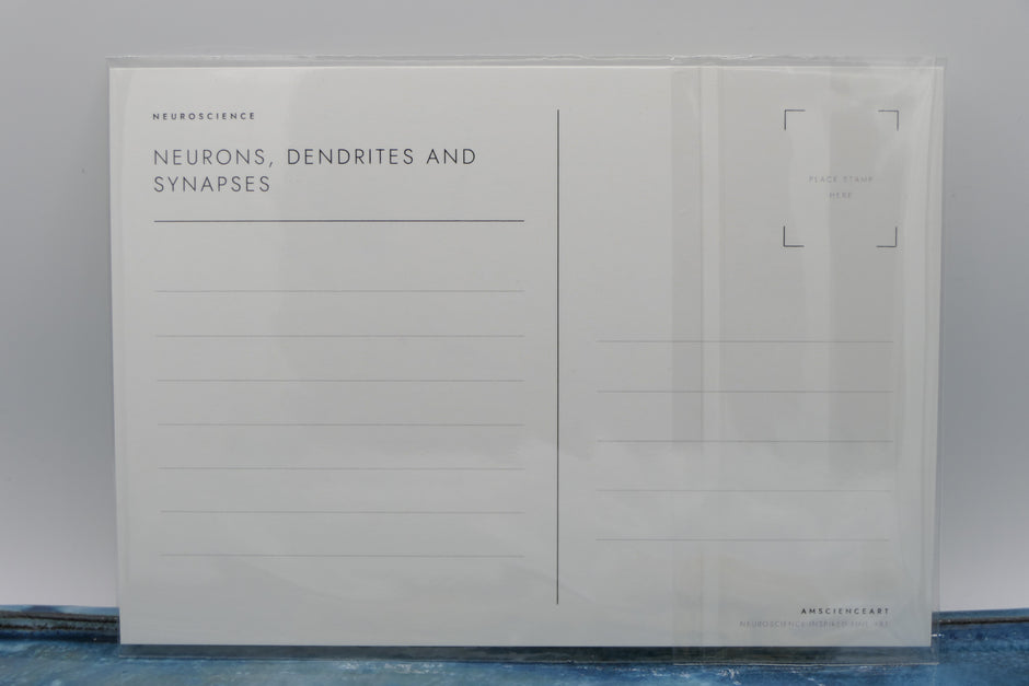 Butterflies | Neuronal dendrites and synapses