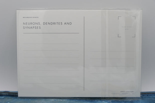 Butterflies | Neuronal dendrites and synapses
