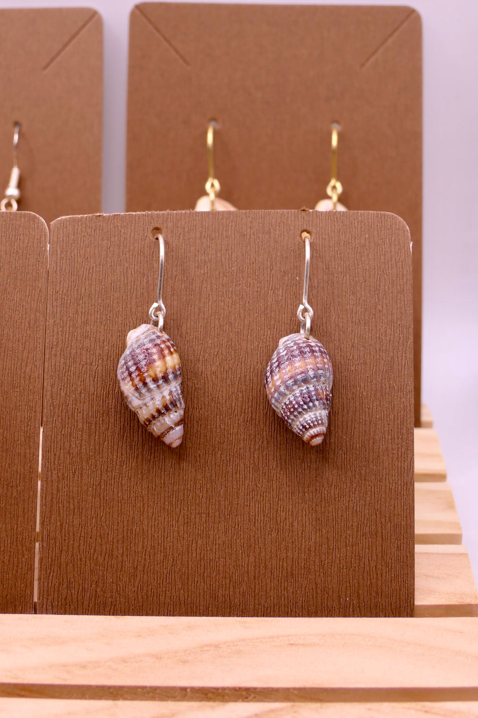 Dwarf conch | Earrings
