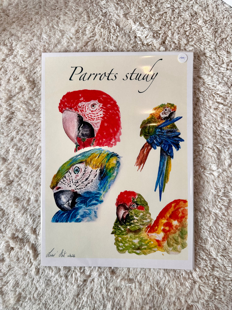 Parrots study