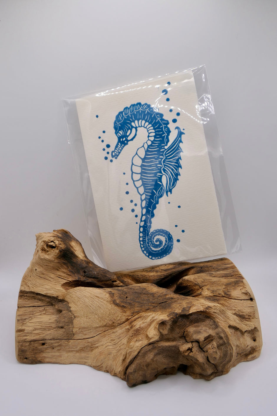 Seahorse | Greeting cards