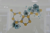 Serotonin