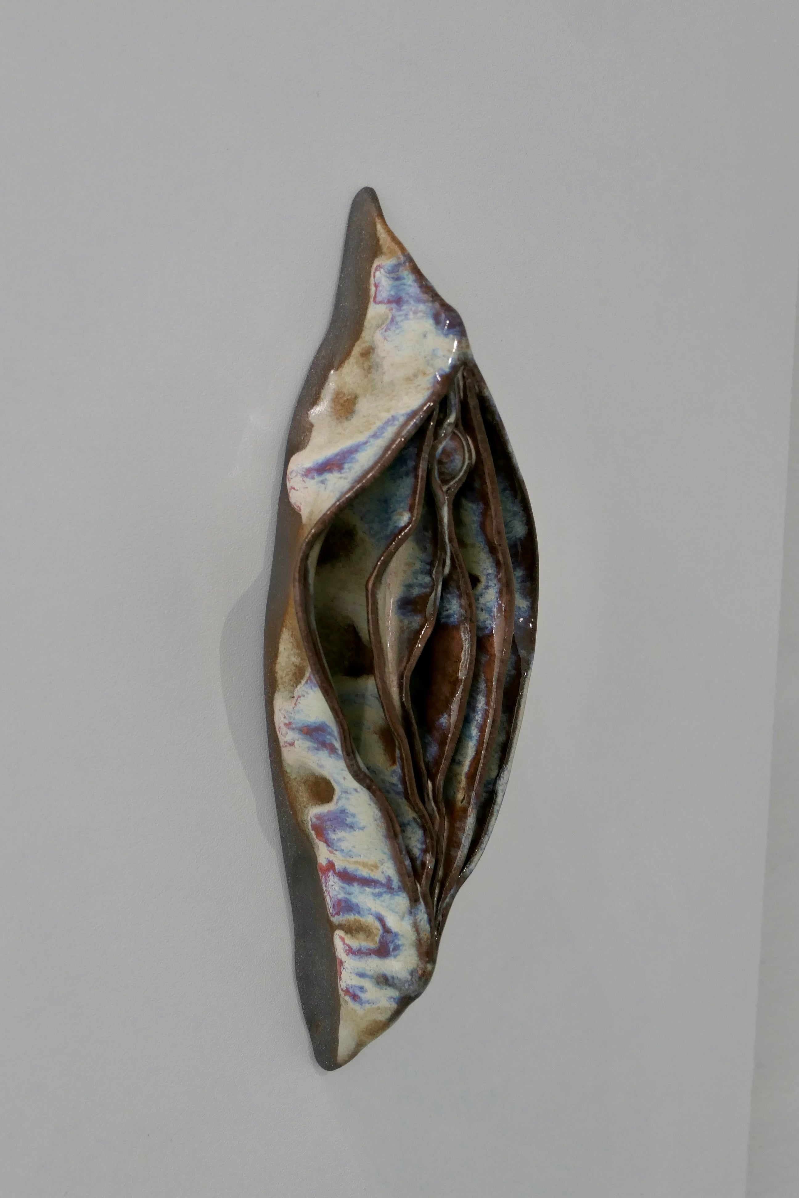 Vulva