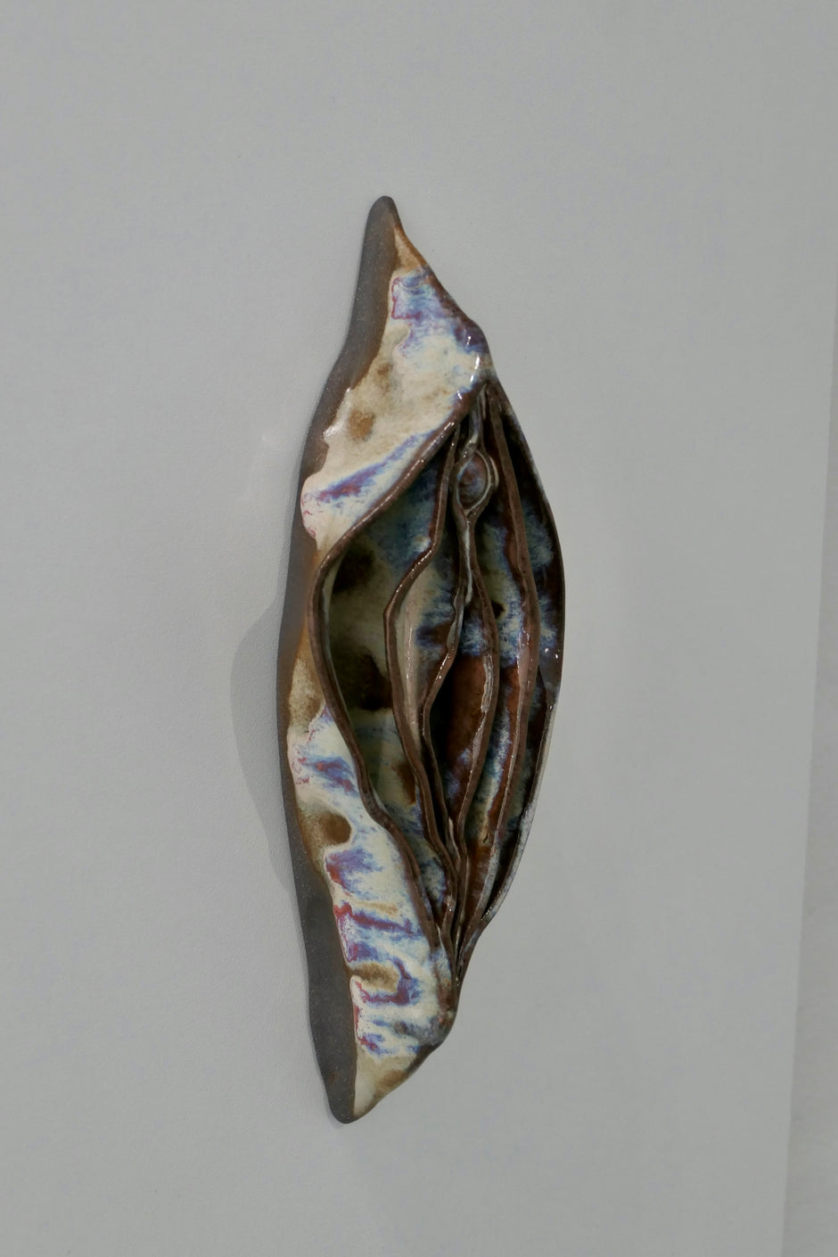 Vulva