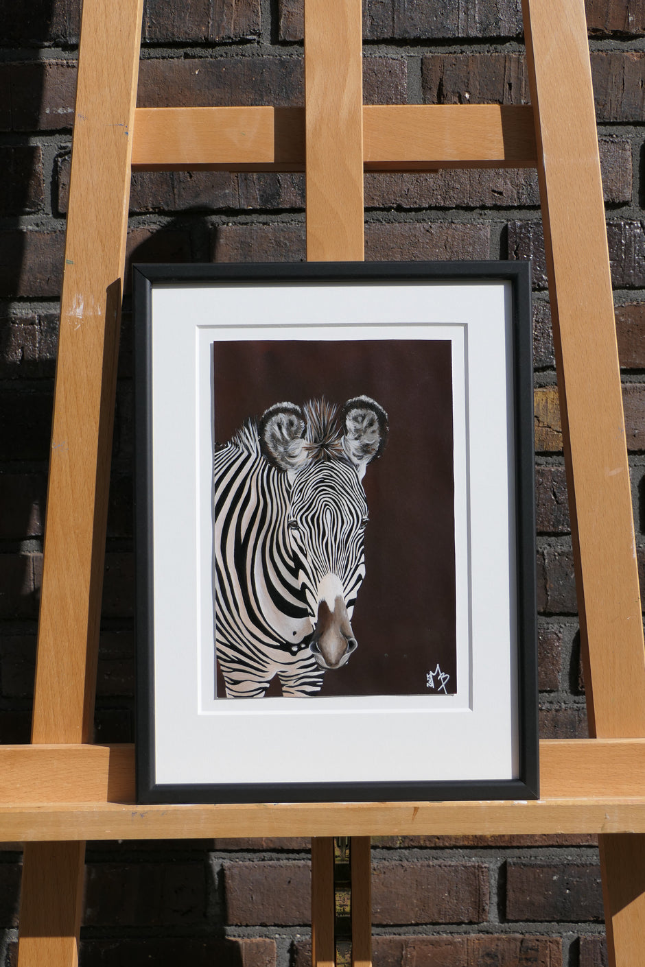 Grevyzebra